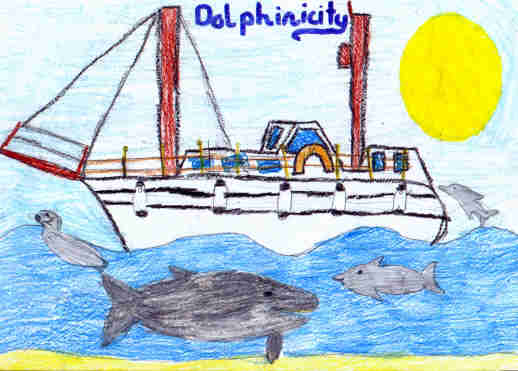 Dolphinicity with dolphins